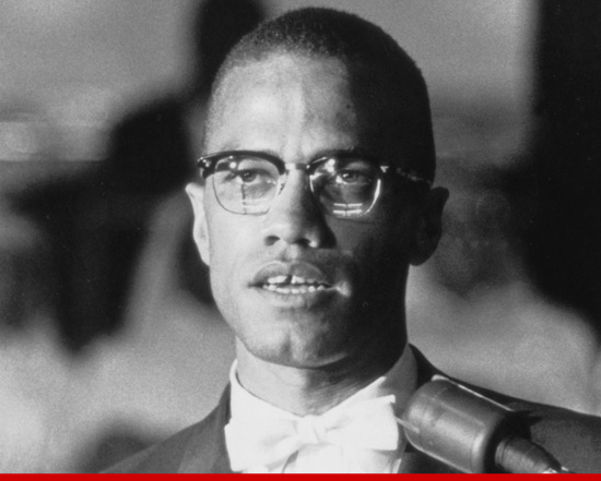 malcolm x civil rights activist essay malcolm x civil rights activist essay