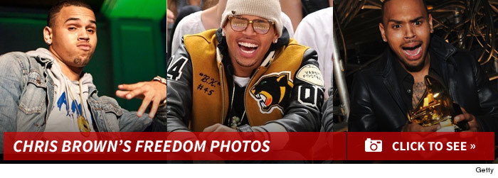 1120_chris_brown_freedom_footer
