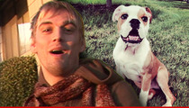 Aaron Carter Files for Bankruptcy ... Even My Dog's Worthless
