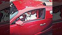 Birdman Gives Turkeys to Poor People ... Drives Off In $2.5 Million Bugatti