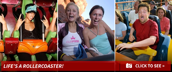 1211_lifes_a_rollercoaster_footer