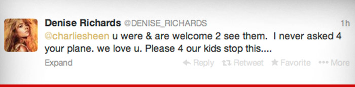 12223_denise_richards_retweet