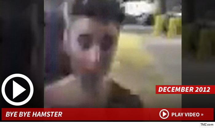 122713_bieber_hamster_launch