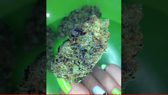 0106_weed_in_hand_sub_instagram_no_swipe