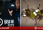 Justin Bieber -- Egg Attack is Gateway to "Thug" Life