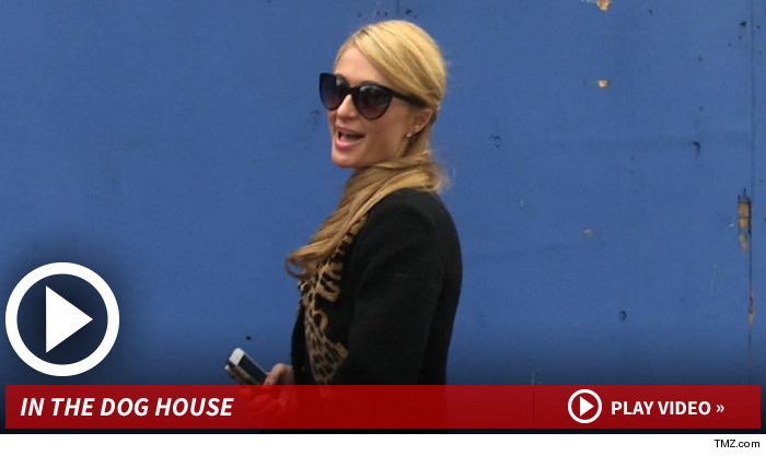 011314_paris_hilton_launch