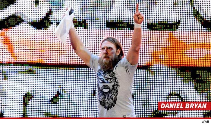 0127-subasset-mick-foley-wwe2