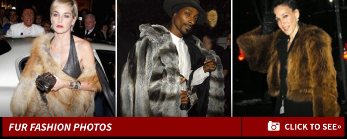 0130_fur_fashion_photos_footer