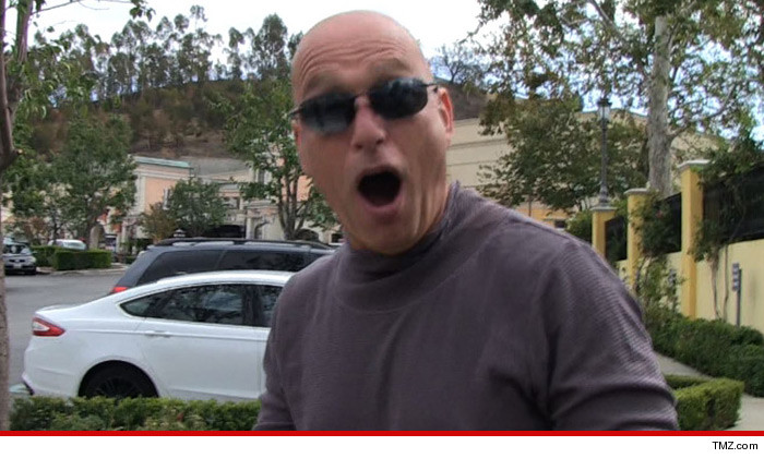 0130-howie-mandel-tmz-article