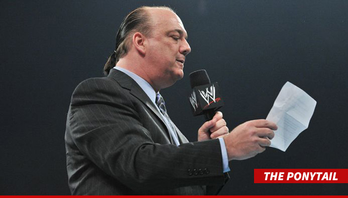 0206-the-ponytail-wwe