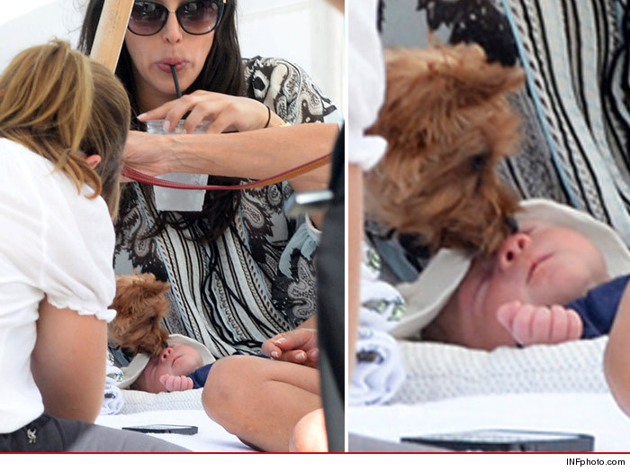 0228_simon_son_dog_lick_sub_infphoto