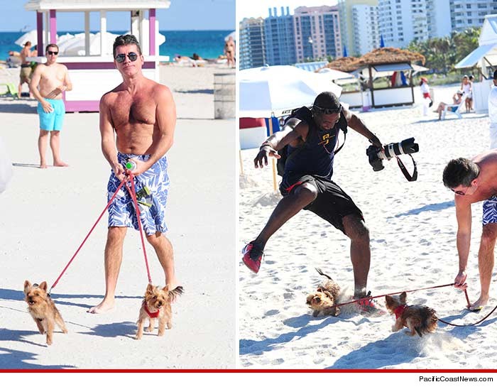 0302-simon-cowell-dog-attack-pcn-01