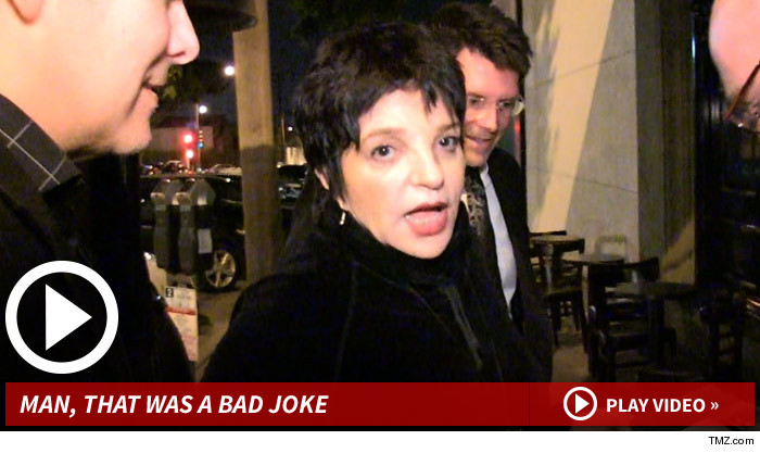 030414_liza_minnelli_launch_v2