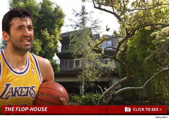0306_vlade_divac_house_launch