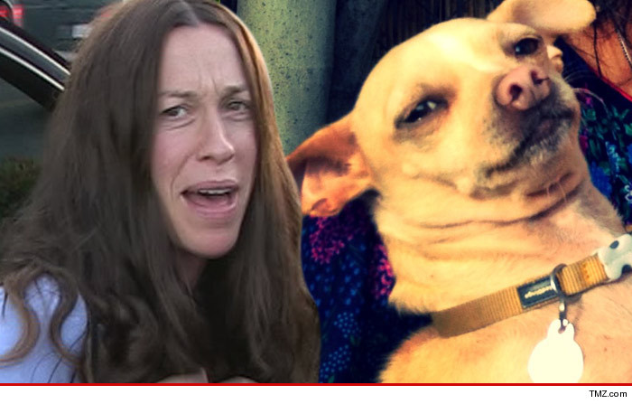0307_alanis_and_dog_tmz_facebook