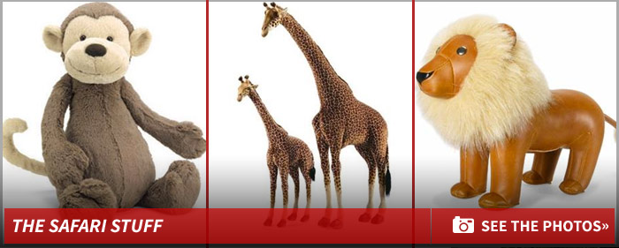 0310_ciara_safari_stuff_footer_v2
