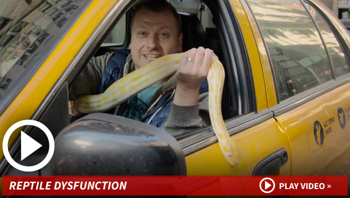 031214_snake_prank_launch_v2