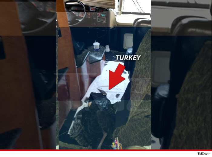 0316-Jillian-Michaels-Turkey-01