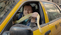 'Snakes in a Cab' Prankster -- Suspended by the TLC ... But Hollywood Is Calling!
