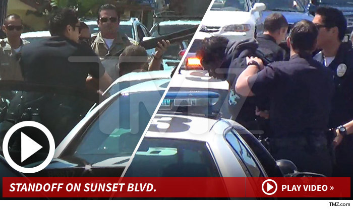 LAPD Arrest Sunset Blvd