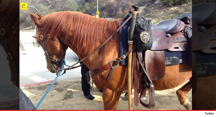 0404_lapd_horse_twitter