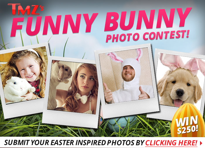 funny_bunny_photo_contest