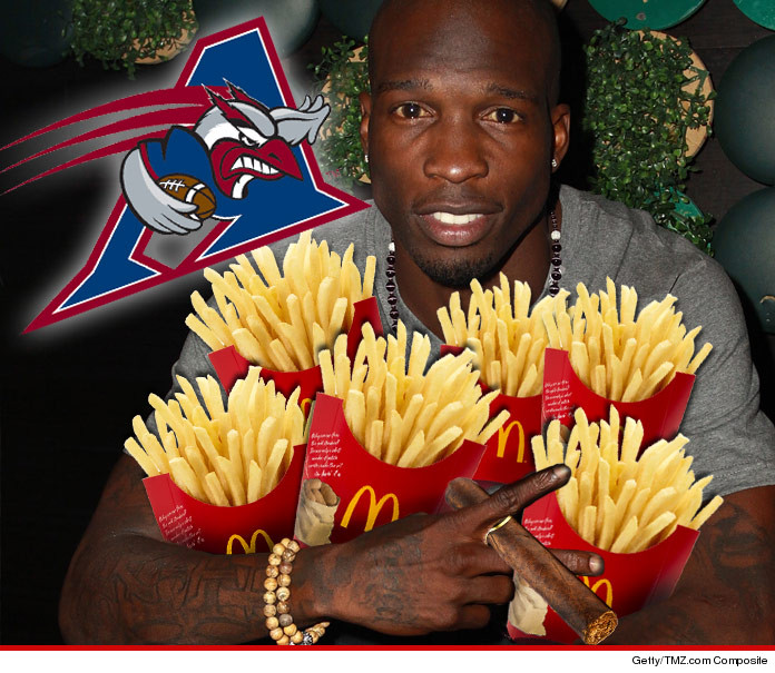 0417-chad-ochocinco-fun-art-01