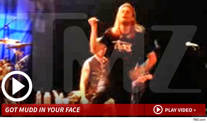 041714_puddle_of_mudd_launch_v2