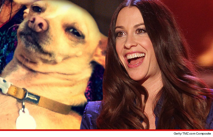 0418-alanis-morissette-dog-01