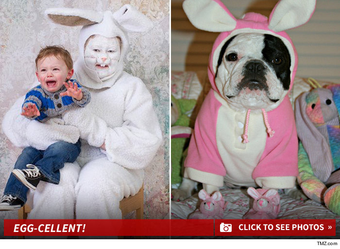 0418_funny_bunny_contest_launch