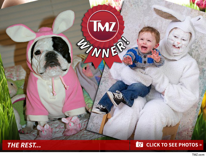 0422_easter_funny_bunny_contest_winner_launch_3