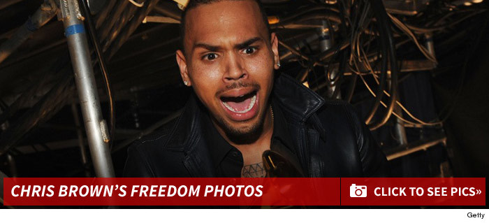 0424_chris_brown_freedom_photos_footer