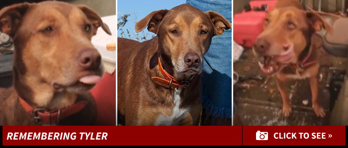 0428_swamp_people_remembering_dog_tyler_photos_footer