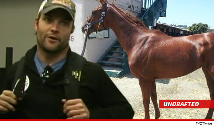 0506-wes-welker-undrafted-tmz-twitter-01