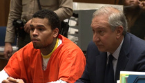 Chris Brown -- I Didn't Confess to the D.C. Assault