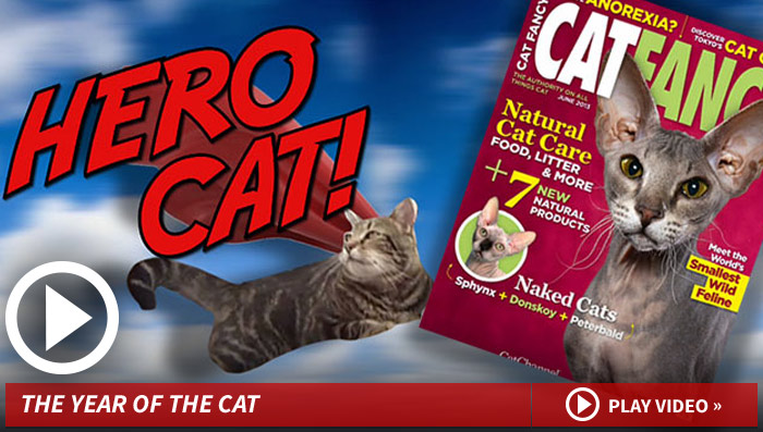051514_tv_cat_full_v2