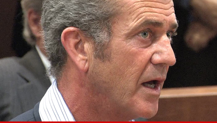 Mel Gibson Battery