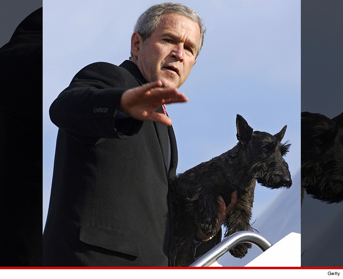 0517-george-bush-dog-getty-01