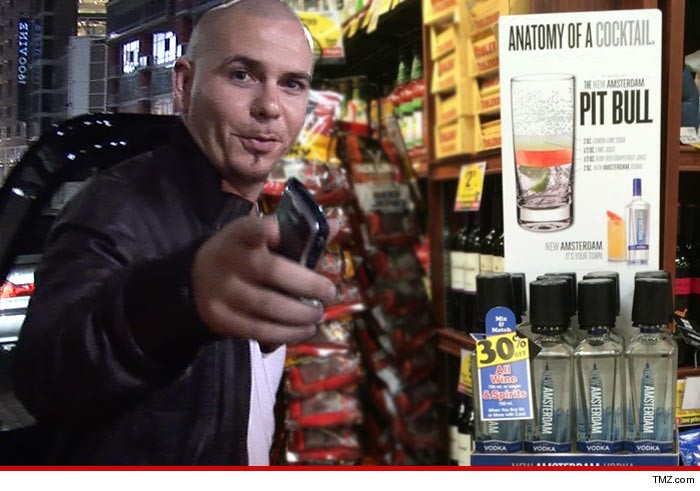 0519-pitbull-new-amsterdam-tmz-01
