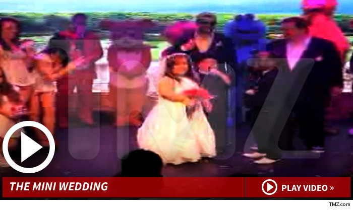 052614_mini_wedding_launch