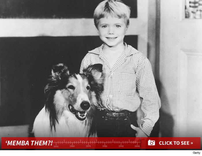 0617_timmy_lassie_Jon_Provost_now_photos_launch
