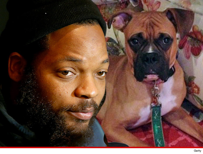 0620_michael_bennett_boxer_puppy_getty