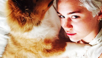 Miley Cyrus Adopts Adorable Dog Named Emu, Says Floyd Gave His Blessing