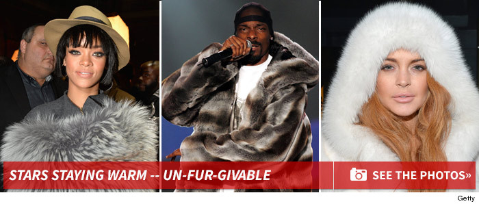 gallery_sub_launch_furry_fury1