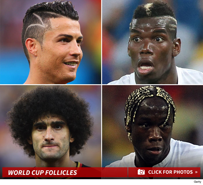 gallery_launch_tablet_world_cup_follicles