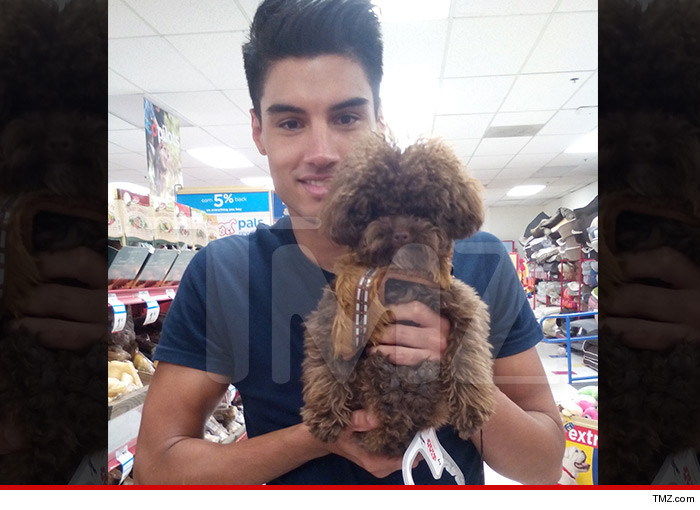 0718-the-wanted-chewy-tmz-01
