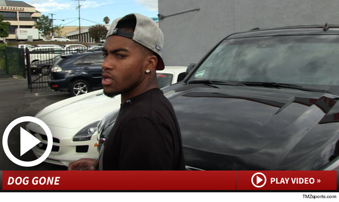 071914_desean_jackson_launch