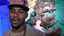 DeSean Jackson -- Puppies For Sale ... $1,200-a-Pop!!!