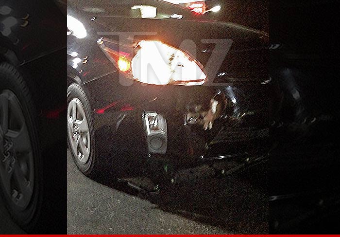 Kylie Jenner Crash