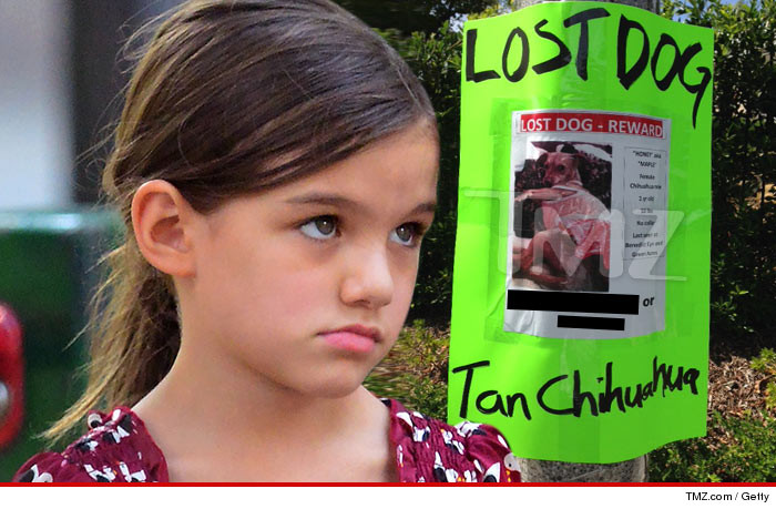 0825-suri-cruise-dog-poster-getty-tmz-02